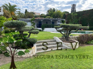 Entretien de jardins à Grasse